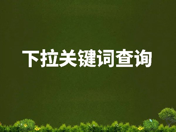 全网下拉词,下拉关键词查询